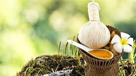 7 Ayurvedic Remedies For Better Health Survival Life