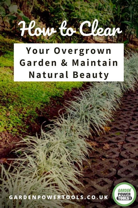 Of course, the accessibility, the size of the area that needs to be cleared as well as the local rates and regulations should also be considered when. How to Clear Your Overgrown Garden & Maintain Natural ...