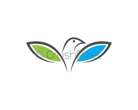 Bird Logo Template Stock Vector Crushpixel