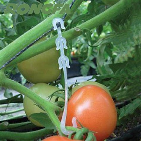 Garden Plant Support Cucumber Clipgarden Plastic Tomato Clip China