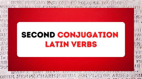2nd Conjugation Latin Verbs The Ultimate Guide For Students