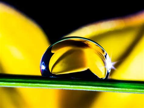 Macro Water Drop Photography How To Photograph Water Drops Splashes