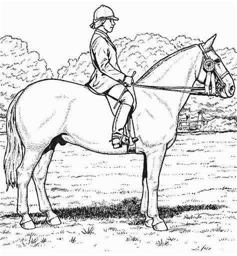 Realistic Printable Horse Coloring Pages