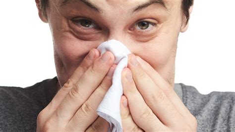 sinus infections explained causes symptoms and treatments