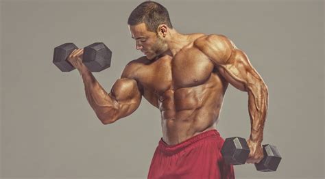 The 3 muscle groups of the forearm each have their own unique form. The Ultimate Dumbbell-only Biceps Workout for Bigger Guns ...