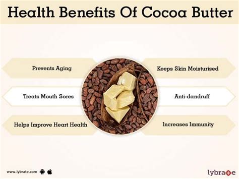Cocoa Butter Benefits For Skin Cronoset