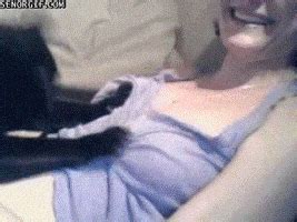 Bewbs GIFs Find Share On GIPHY