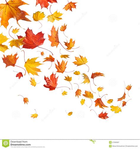 Fallen Leaves Clipart Clipground