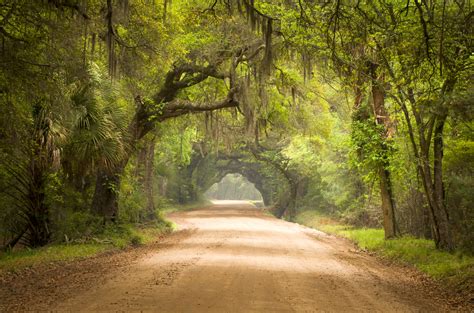 11 Fun South Carolina Road Trips For Your Bucket List Southern Trippers