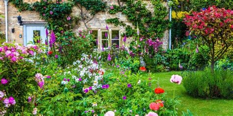 How To Grow A Cottage Garden