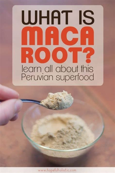 maca root is an adaptogen with about a million and one health benefits for you to enjoy learn