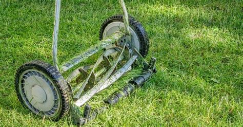 5 Best Reel Mowers 2024 Reviews And Buyers Guide