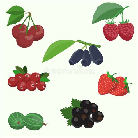 Vector Set Of Berries Stock Vector Illustration Of Element 96327539