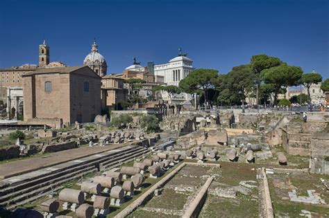 Basilica Julia Colosseum Rome Tickets