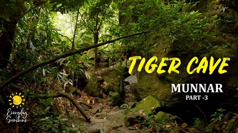 Mankulam Tiger Cave Munnar Kerala Munnar Tour Places Munnar Trip