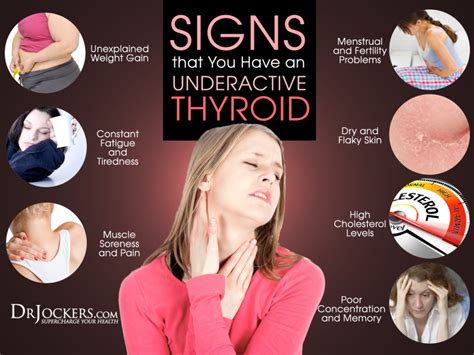 The main cause of hair loss happens to be severe and. 10 Nutrients to Improve Thyroid Function - DrJockers.com