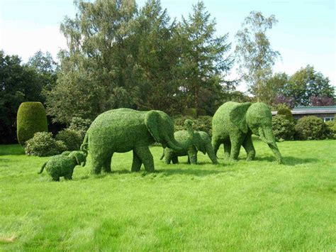 Maybe you would like to learn more about one of these? Green Animal Garden - Topiary Art