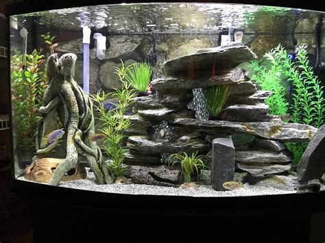Going with wood means that you are sure to get durability in your finally finished product, so here once again the the artistic design curves will rock in any corner of your home! Pin by Christopher Luciano on Cichlid Tank Examples ...