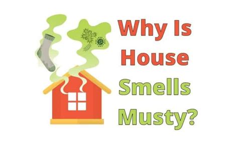 Why Is House Smells Musty Hvac Boss