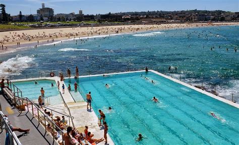 live sydney pool