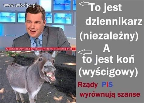 Wiochapl Absurdy Polskiego Internetu Nasza Klasa Facebook Fotka Nk Polityka