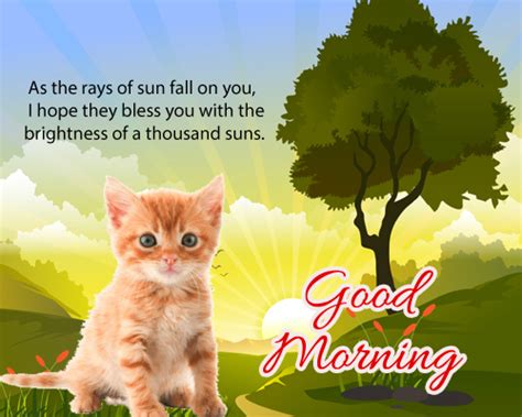 Cute Good Morning Wish Free Good Morning Ecards Greeting Cards 123
