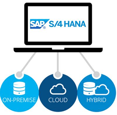 SAP S 4 HANA And The Deployment Options Across Scenarios Sodales