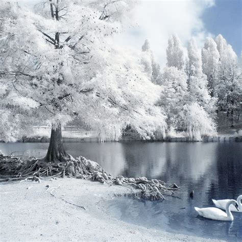10 New Free Winter Wallpapers And Screensavers Full Hd 1920×1080 For Pc