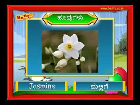 Add to my workbooks (36) download file pdf embed in my website or blog add to google classroom add to microsoft teams share through whatsapp FLOWERS in Kannada Preschool Learning - YouTube