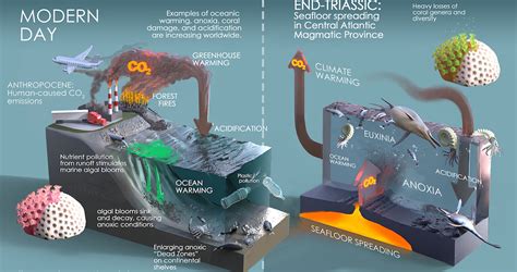 Volcano Link To End Of Triassic Extinction Cosmos Magazine