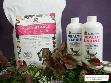 Superdealsearch.com has been visited by 100k+ users in the past month Raw Dog Food Diet Brands | Dr. Harvey's Raw Vibrance ...