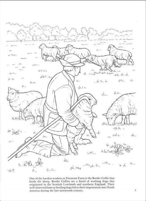 Old Fashioned Farm Life Coloring Book Dover Publications 9780486261485