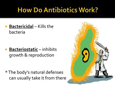 Ppt Bacteria And Antibiotics Powerpoint Presentation Free Download