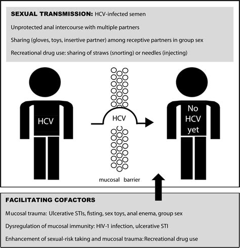emerging viral stis among hiv positive men who have sex with men the era of hepatitis c virus