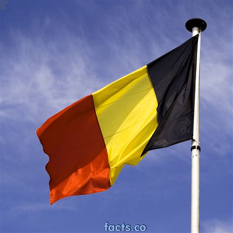 Flag Of Belgium The Symbol Of Independence Pictures And Images