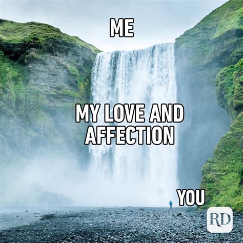 20 Love Memes For Every Occasion Funny I Love You Memes