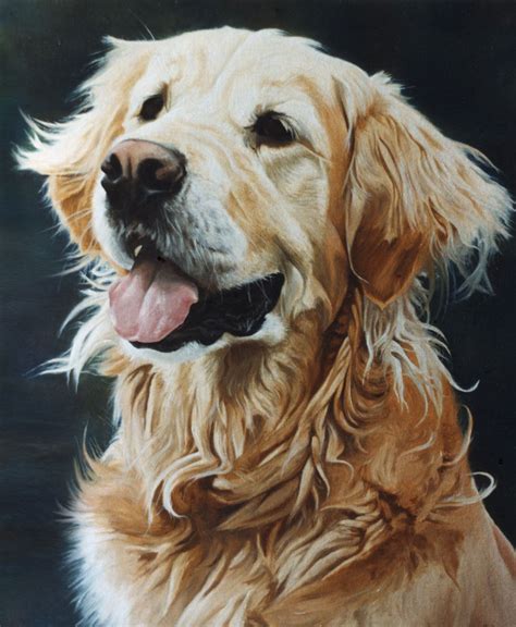Golden Retriever Dog Portrait 1 Painting Oils On Canvas Golden