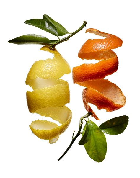 Citrus Peels Fruit Photography Food Still Life Photography