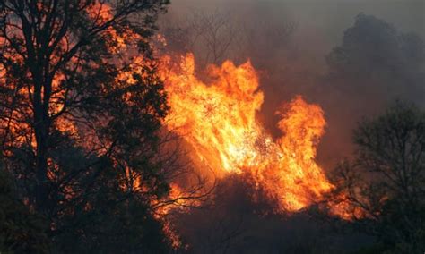 Economic Impact Of Australias Bushfires Set To Exceed 44bn Cost Of