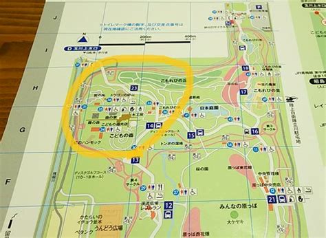 国営昭和記念公園（こくえいしょうわきねんこうえん、showa kinen park , showa commemorative national government park）は、東京都立川市と昭島市に跨る日本の国営公園。 「昭和天皇御在位五十年記念事業」の一環として、「現在及び将来を担う国民が自然的環境の中で健. 昭和記念公園へ遊びに行こう!子供が遊べるところはどの ...