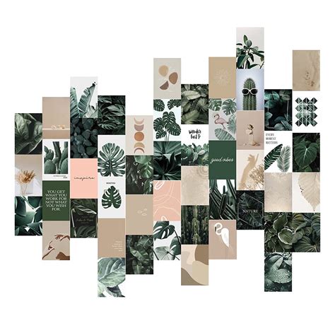 Buy Niu Mang 50pcs Botanical Wall Collage Kit Postcard Walls Aesthetic