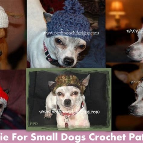 Instant Download Crochet Pattern Watermelon Dog Hat Small Etsy