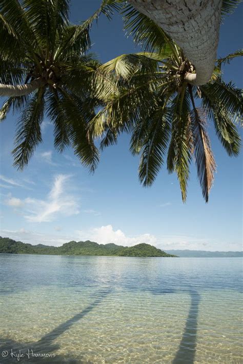 Coastline At Matangi Island Private Resort In The Fiji Islands