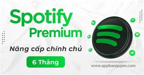 T I Kho N Spotify Premium Gi R N Ng C P Ch Nh Ch App B N Quy N