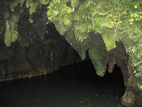 Waitomo Glowworm Caves New Zealand Desktop Wallpapers