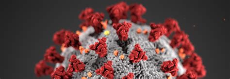 This subreddit seeks to monitor the spread of the. COVID-19 (Coronavirus) Information - The University of ...