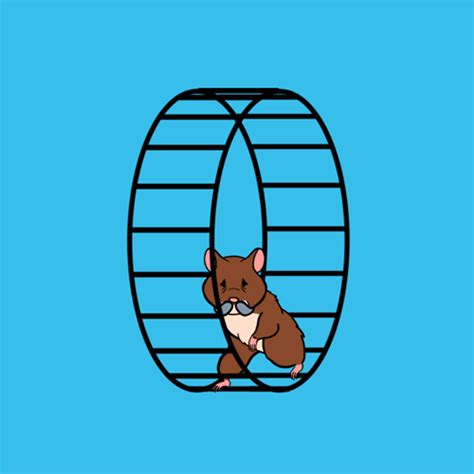 Hamster Wheel Gifs Animated Rodents Run In A Wheel
