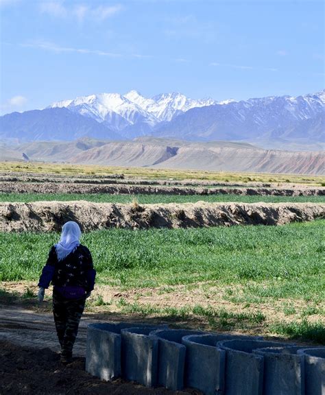 Qinghai Tibetan Plateau Wired For Adventure