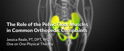 The Role Of The Pelvic Floor Muscles In Common Orthopedic Complaints