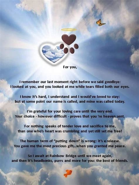 Pet Loss Grief Dog Poems Pet Grief